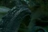 PDVD_2_77(1).JPG