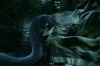 PDVD_2_7_(1).JPG
