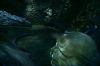 PDVD_2_7_(1)~0.JPG