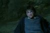 PDVD_2_85(1).JPG