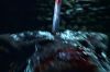 PDVD_2_87(1).JPG