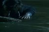 PDVD_2__1(1).JPG