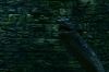 PDVD_2__1(1)~0.JPG