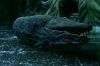 PDVD_2__6(1)~0.JPG