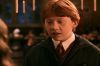PDVD__17_(1)~0.JPG