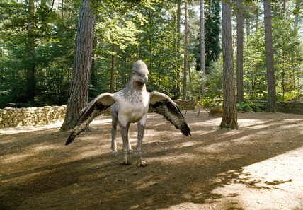 199192.jpg