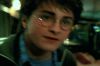 214-PDVD_1_8_.JPG