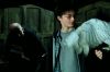 264-PDVD_20__.JPG