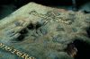 271-PDVD_2040.JPG