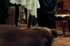 84-PDVD_185_.JPG