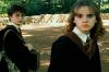 PDVD_176.JPG
