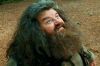 PDVD_262.JPG