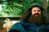 PDVD_2_0~0.JPG