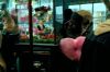 PDVD_5_5~0.JPG