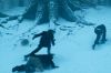 PDVD_618.JPG