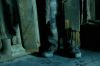 PDVD_100_~0.JPG