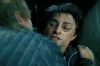 PDVD_10_7~0.JPG
