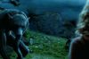 PDVD_1147.JPG