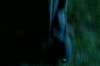 PDVD_11_5.JPG