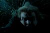 PDVD_11_6.JPG
