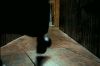 PDVD_80_~0.JPG