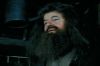 PDVD_8_1~0.JPG