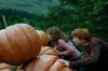 PDVD_8_8~0.JPG
