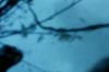 PDVD__71.JPG