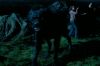 PDVD_1156.JPG