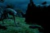PDVD_1157.JPG
