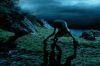 PDVD_1162.JPG