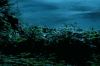 PDVD_1170.JPG
