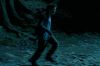 PDVD_1176.JPG