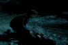 PDVD_1177.JPG