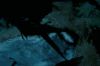 PDVD_11_2.JPG