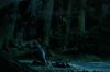 PDVD_1206.JPG