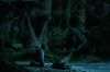 PDVD_1207.JPG
