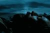 PDVD_1210.JPG