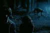 PDVD_1407.JPG