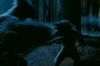 PDVD_1410.JPG