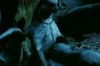 PDVD_1411.JPG