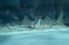 PDVD_1441.JPG