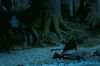 PDVD_14_2.JPG