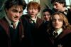 PDVD_1575.JPG
