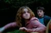 PDVD_1_11.JPG