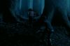 PDVD_1_65.JPG