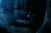 PDVD_1_76.JPG