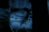 PDVD_1_7_.JPG