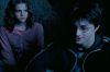 PDVD_1_80.JPG