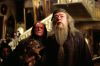 poa-highresolution12.jpg